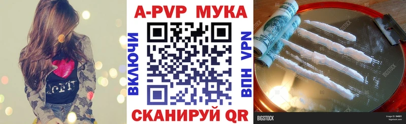 купить наркотики цена  Ветлуга  APVP СК КРИС 