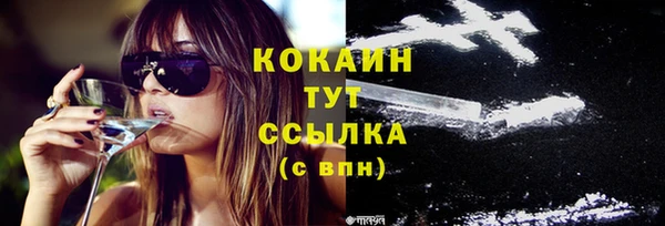 стафф Алексин