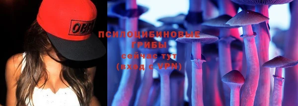 ГАЛЛЮЦИНОГЕННЫЕ ГРИБЫ Алексеевка
