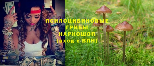 ГАЛЛЮЦИНОГЕННЫЕ ГРИБЫ Алексеевка
