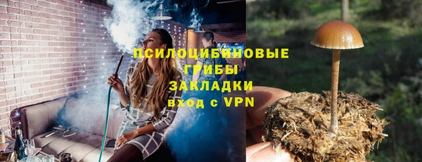 ГАЛЛЮЦИНОГЕННЫЕ ГРИБЫ Алексеевка