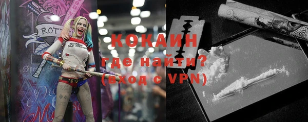 стафф Алексин